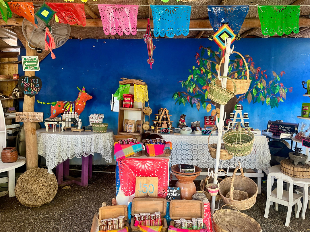 Vallarta Adventures-新瓦雅塔必去景点