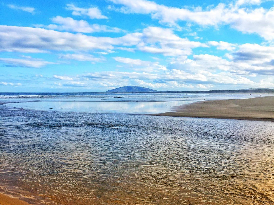 Seven Mile Beach-Shoalhaven必去景点
