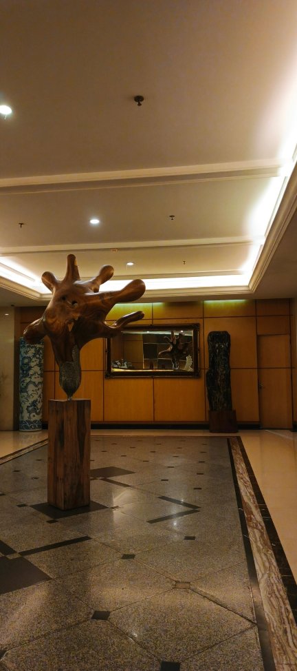 巴东洛基广场酒店-旅行者