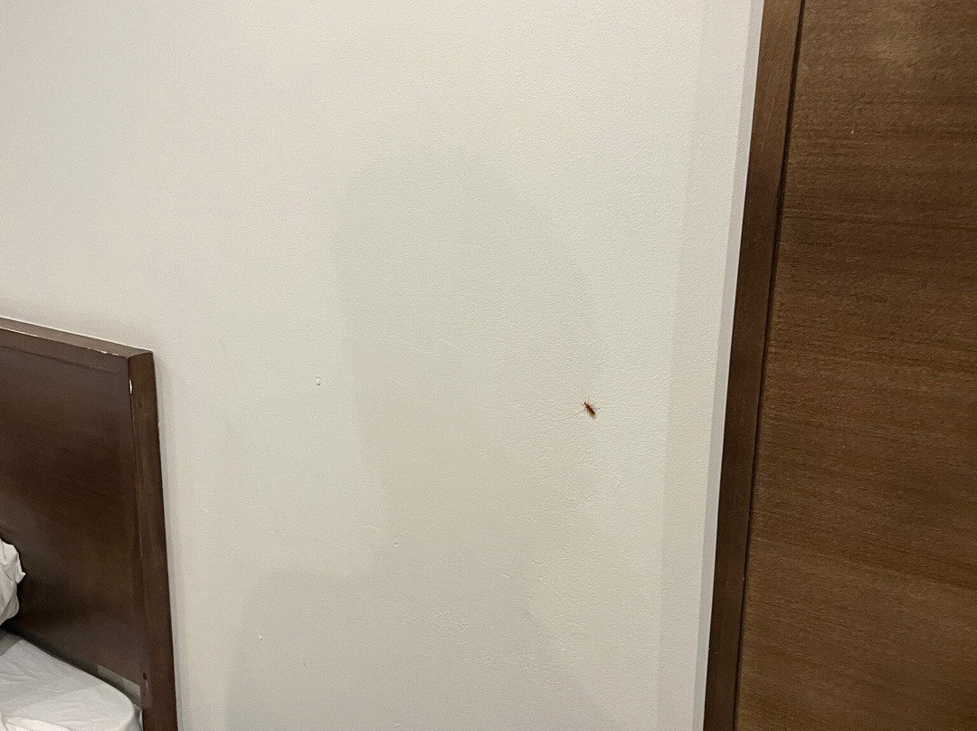 切尔维奥拉酒店主图