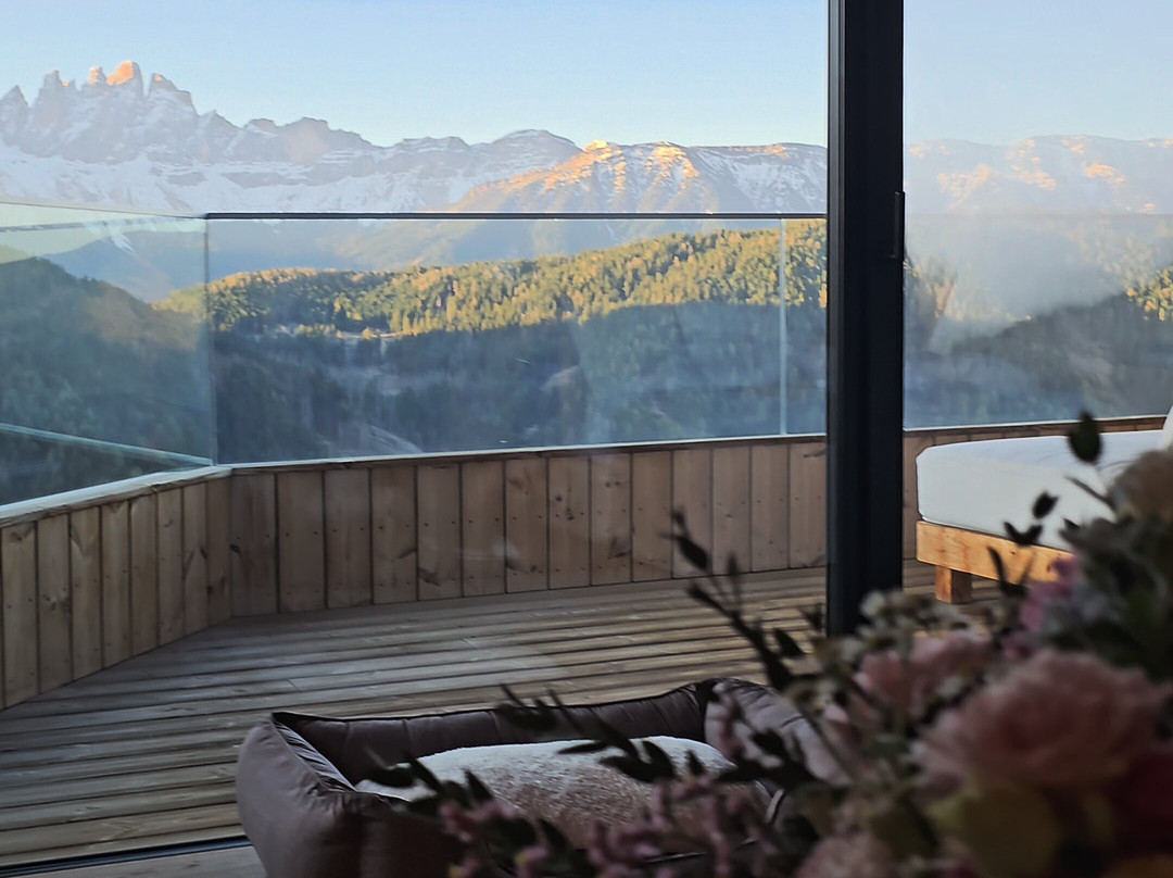 福雷斯蒂斯酒店Forestis Dolomites（意大利）主图