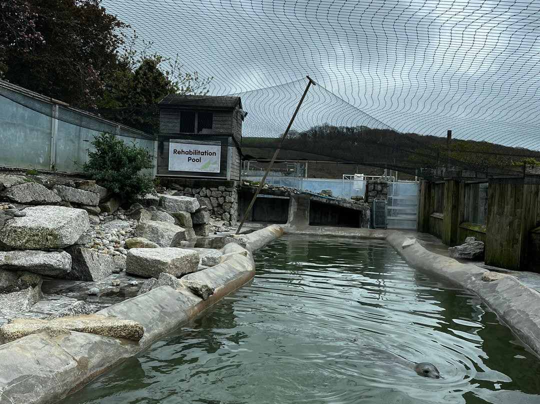 Cornish Seal Sanctuary-Gweek必去景点