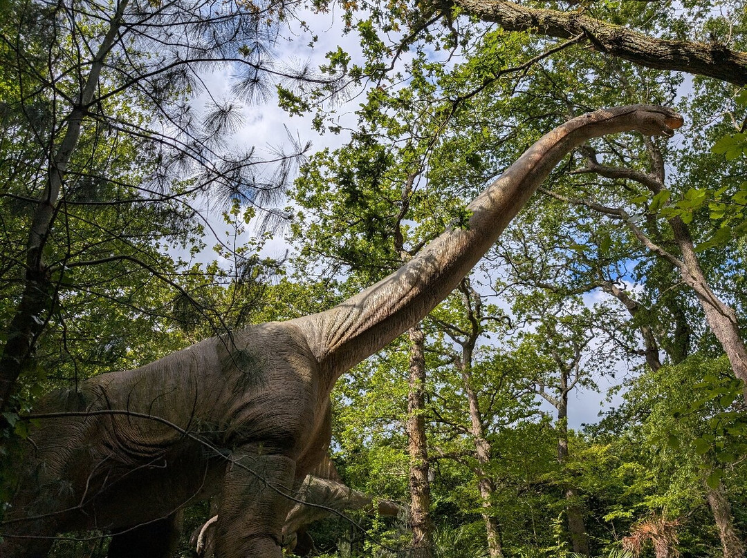 Hertfordshire Zoo-布罗克斯本必去景点