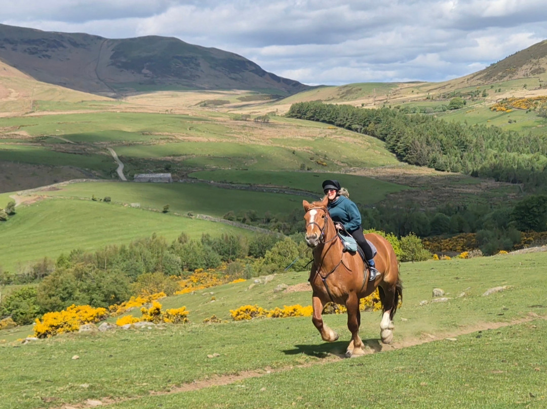Cumbrian Heavy Horses-Millom必去景点