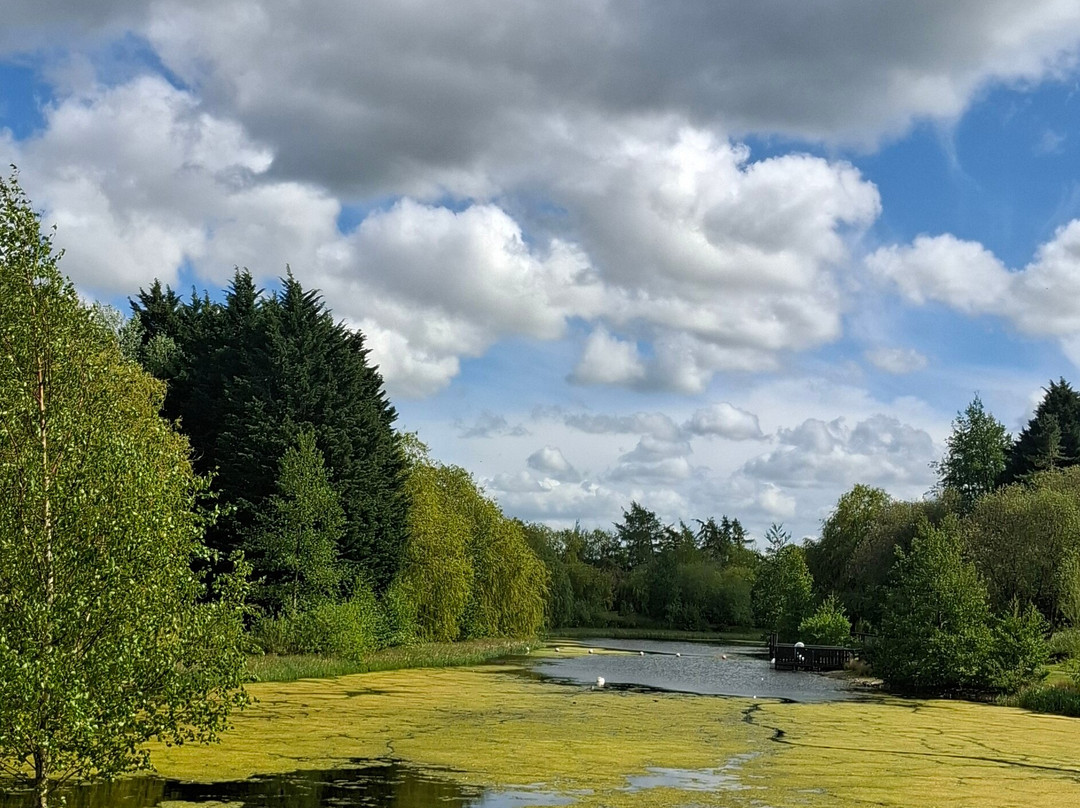 Lightwater Valley Family Adventure Park-North Stainley必去景点