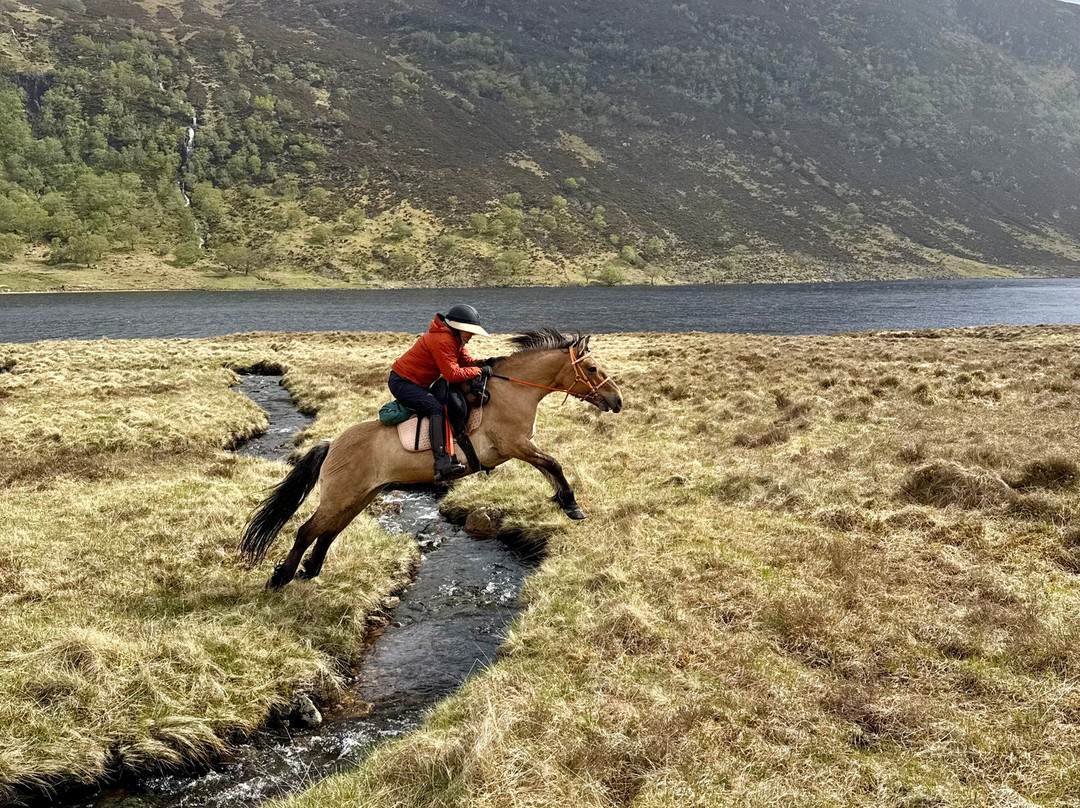 Highlands Unbridled Trail Riding & Trekking Centre-Aboyne必去景点