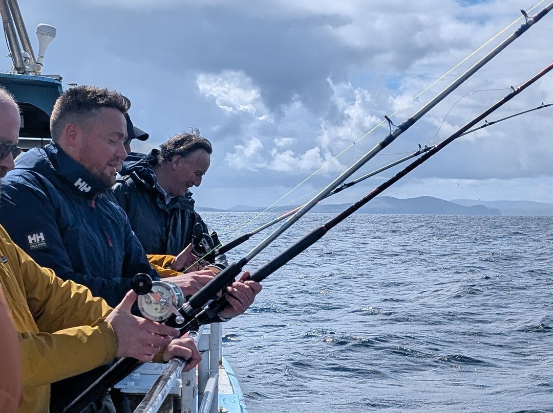 West Kerry Sea Angling and Eco Tours-丁格尔必去景点