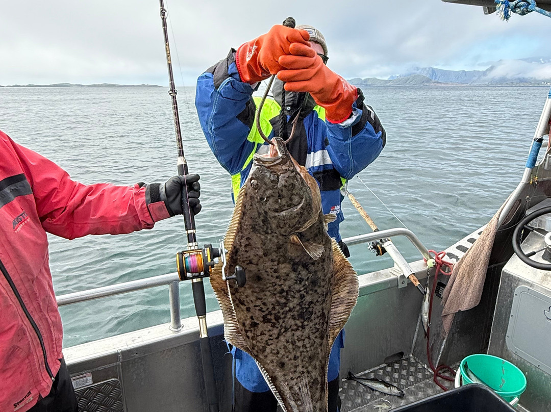 Arctic Spearfishing & guided fishing-Ballstad必去景点