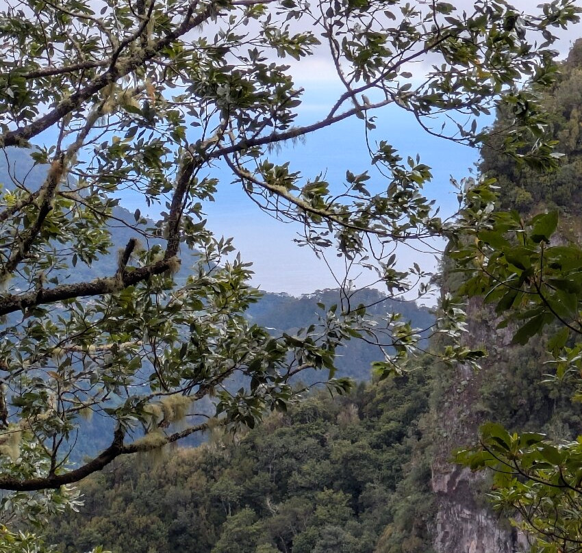 PR11 Vereda dos Balcões-Ribeiro Frio必去景点
