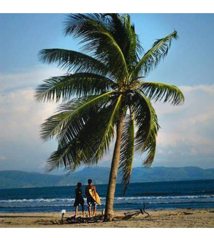 Playa El Borrego-San Blas必去景点