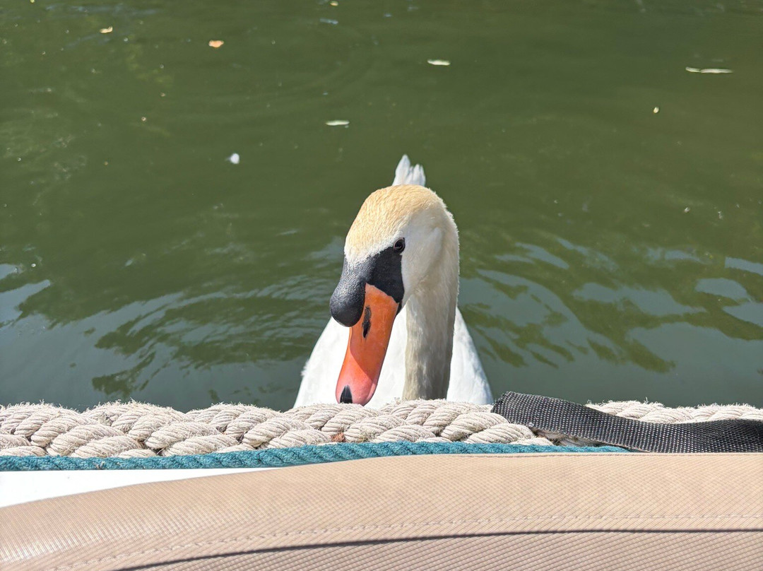 Boating at Cliveden-塔普洛必去景点