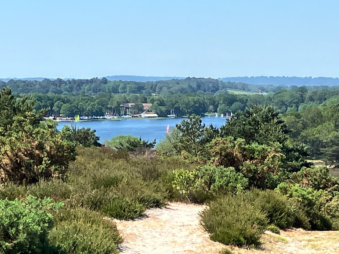 Frensham Little Pond-Frensham必去景点