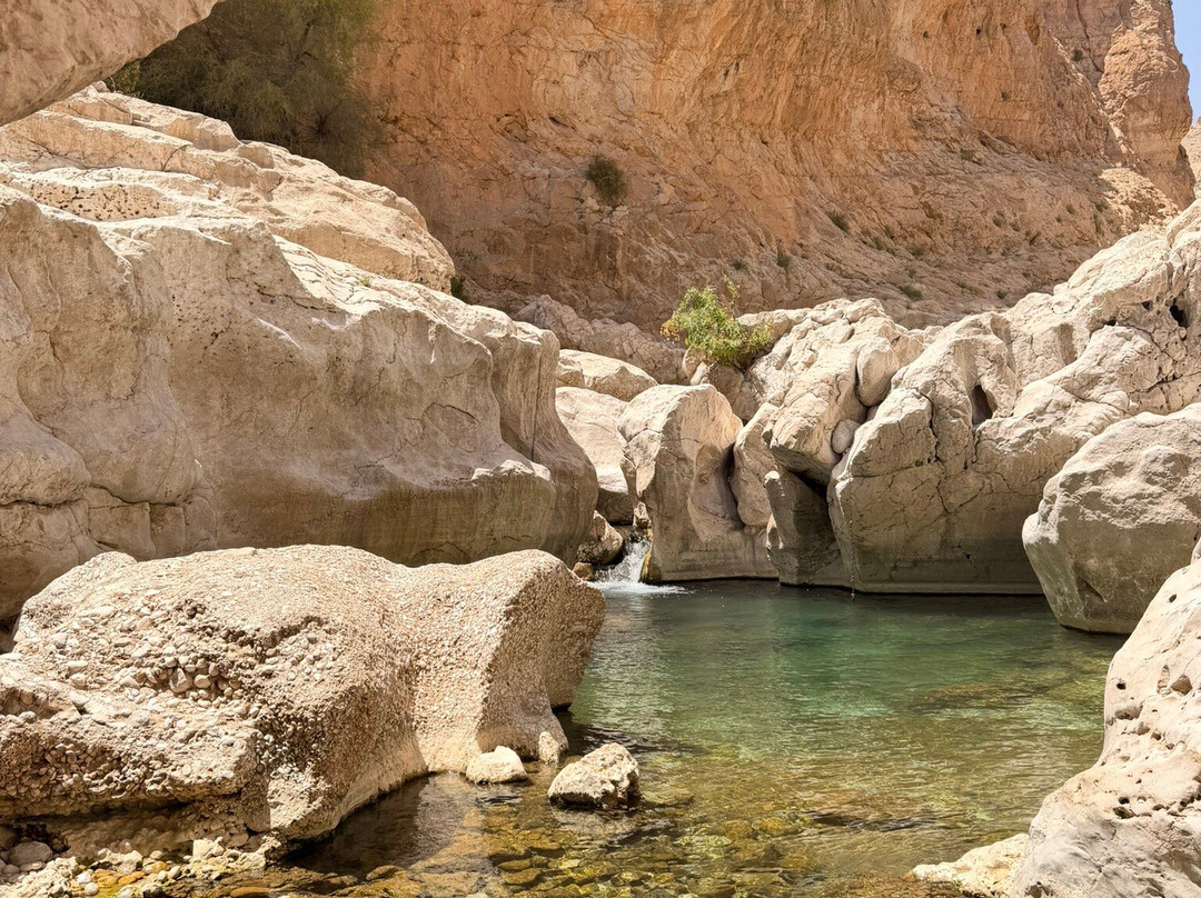 Wadi Bani Khalid-Al Kamil Wal Wafi必去景点