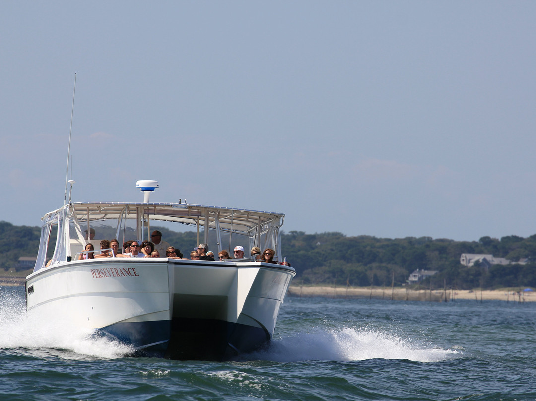 Monomoy Island Excursions-Harwich Port必去景点