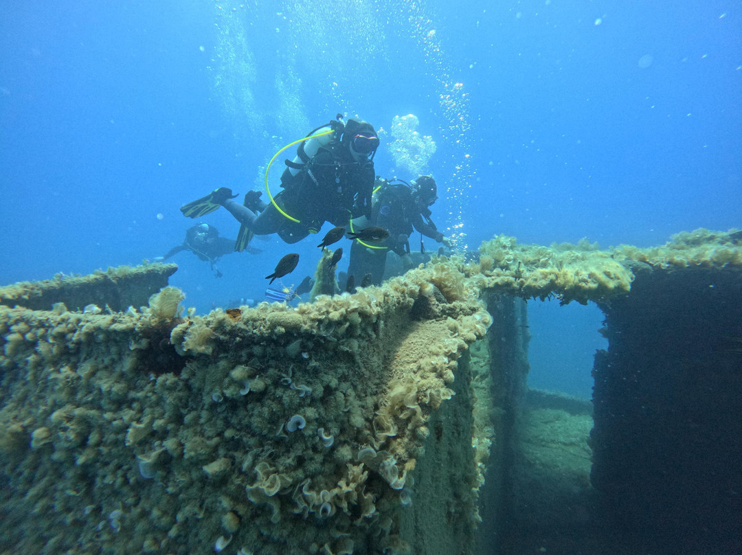 Pro Dive (Ex Blue Thunder Diving)-利马索尔必去景点
