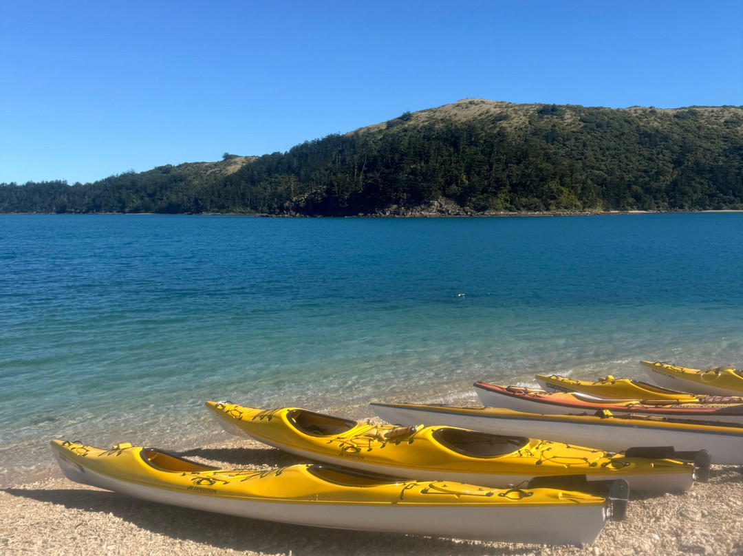 Salty Dog Sea Kayaking - Day Tours-舒特港必去景点
