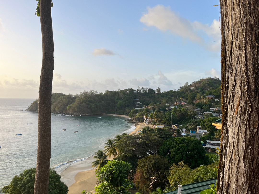 Island Girl Tours-斯卡伯勒必去景点