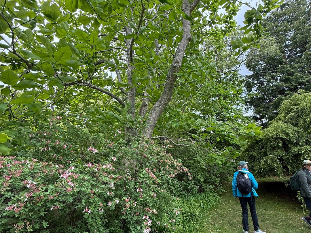 Polly Hill Arboretum-West Tisbury必去景点