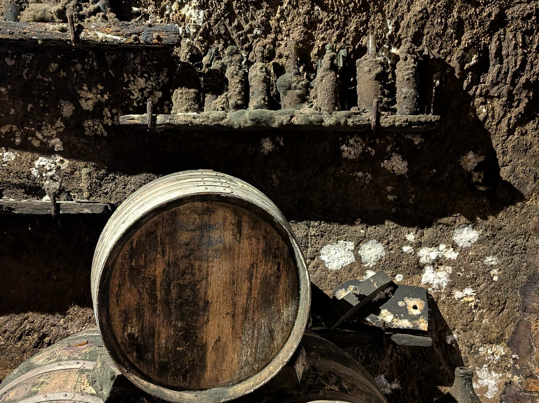 Cantine del Notaio-Rionero in Vulture必去景点