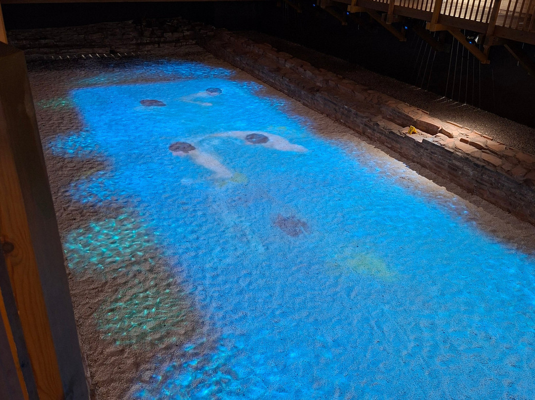 Caerleon Roman Fortress and Baths-Caerleon必去景点