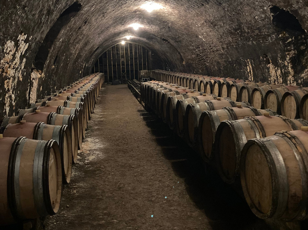 Domaine Borgnat-Escolives-Sainte-Camille必去景点