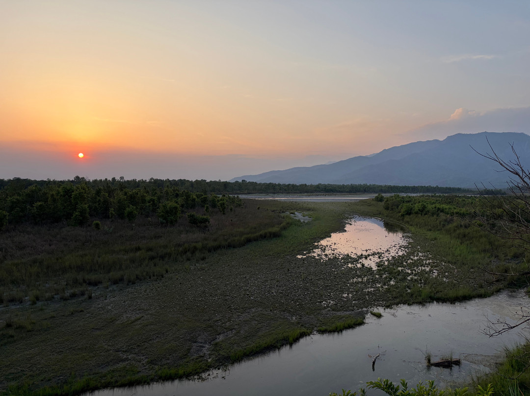 Bardia Homestay Pvt. Ltd.主图