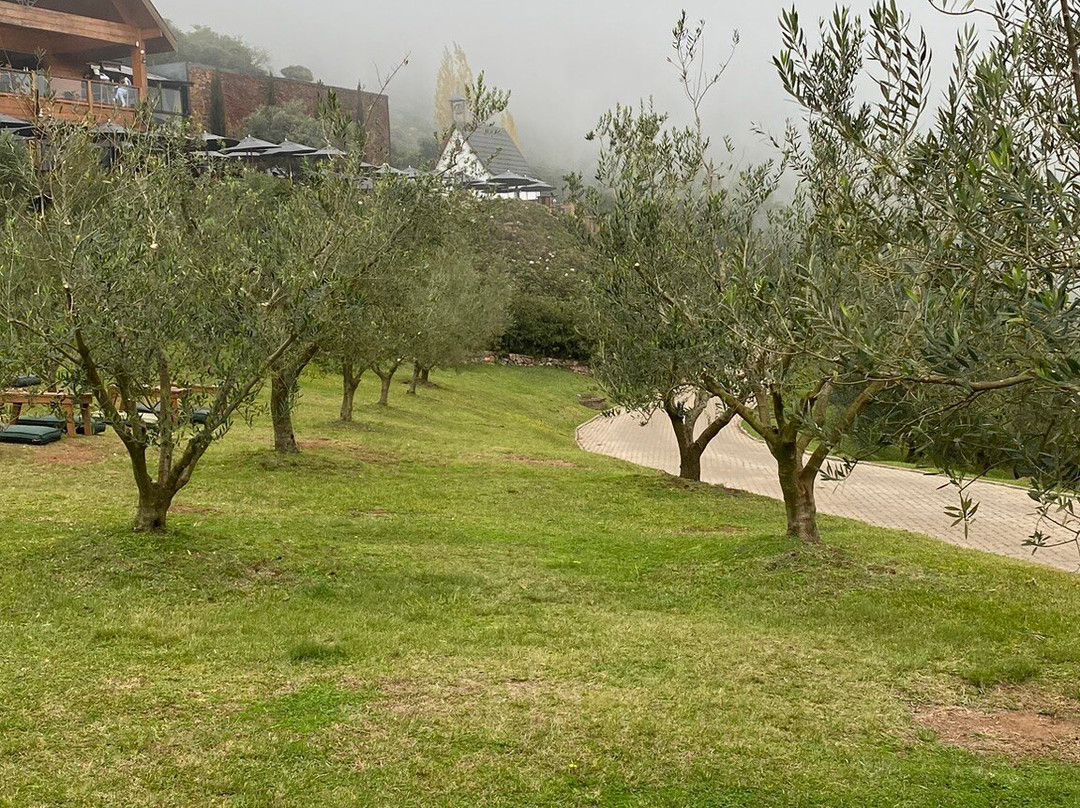 Parque Olivas de Gramado-格拉玛多必去景点