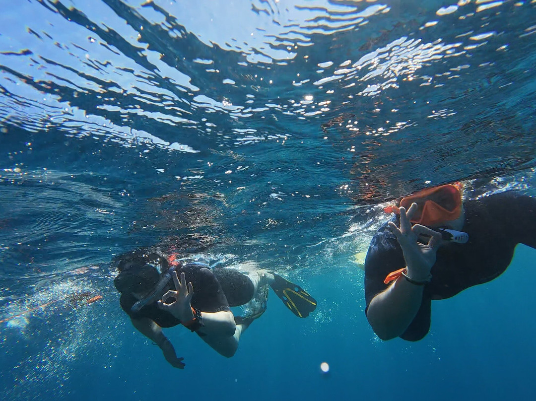 Polyn'easy Dive And Tours-Taravao必去景点