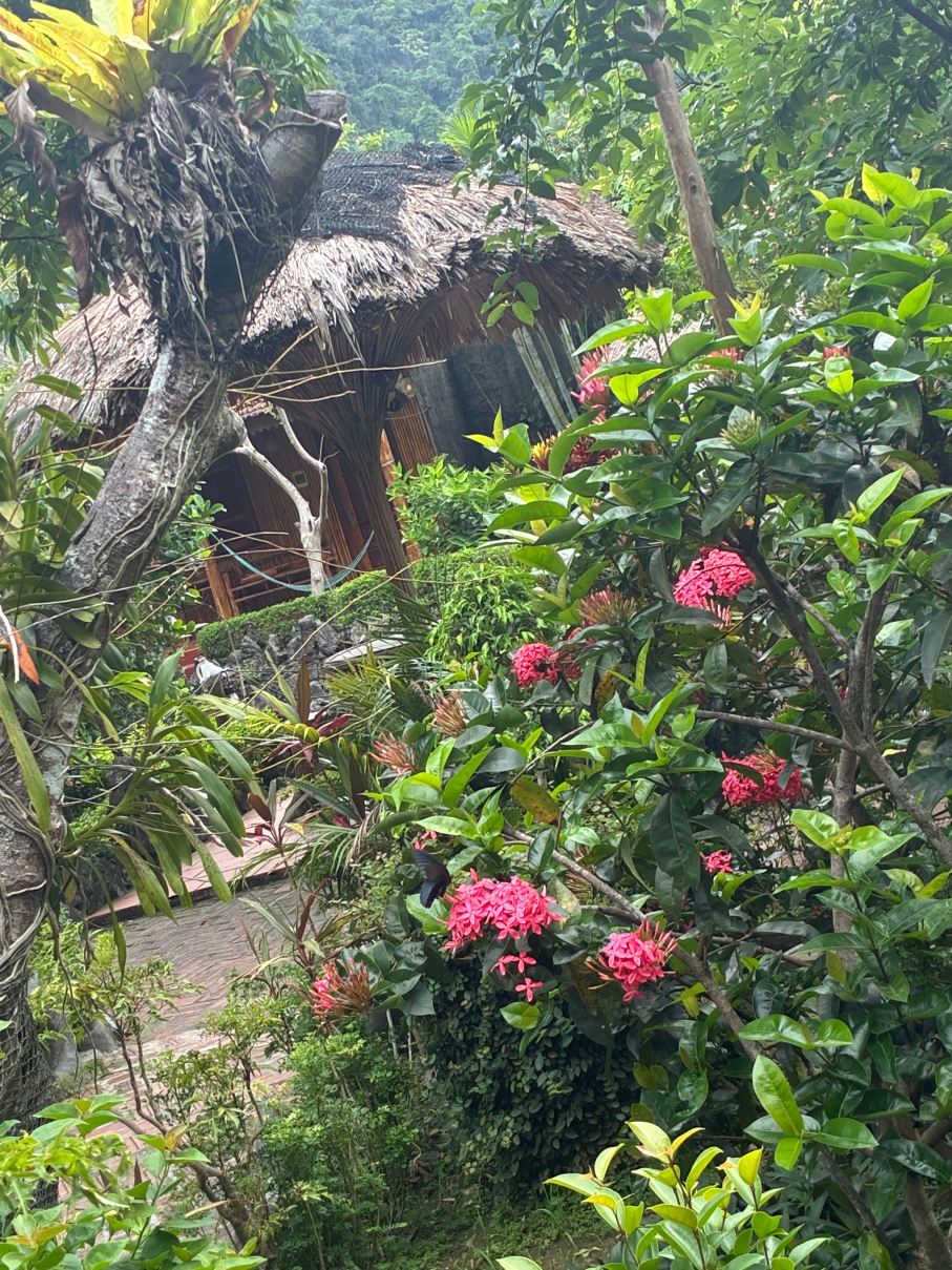 Lan Homestay-旅行者