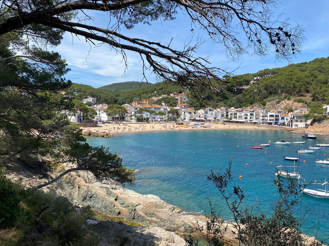 Tamariu Beach-Tamariu必去景点