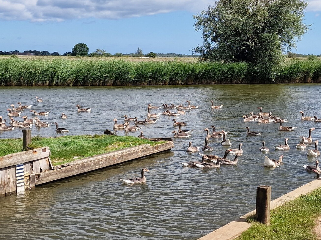 Ross' Wildlife Boat Trips-Mustard Hyrn必去景点