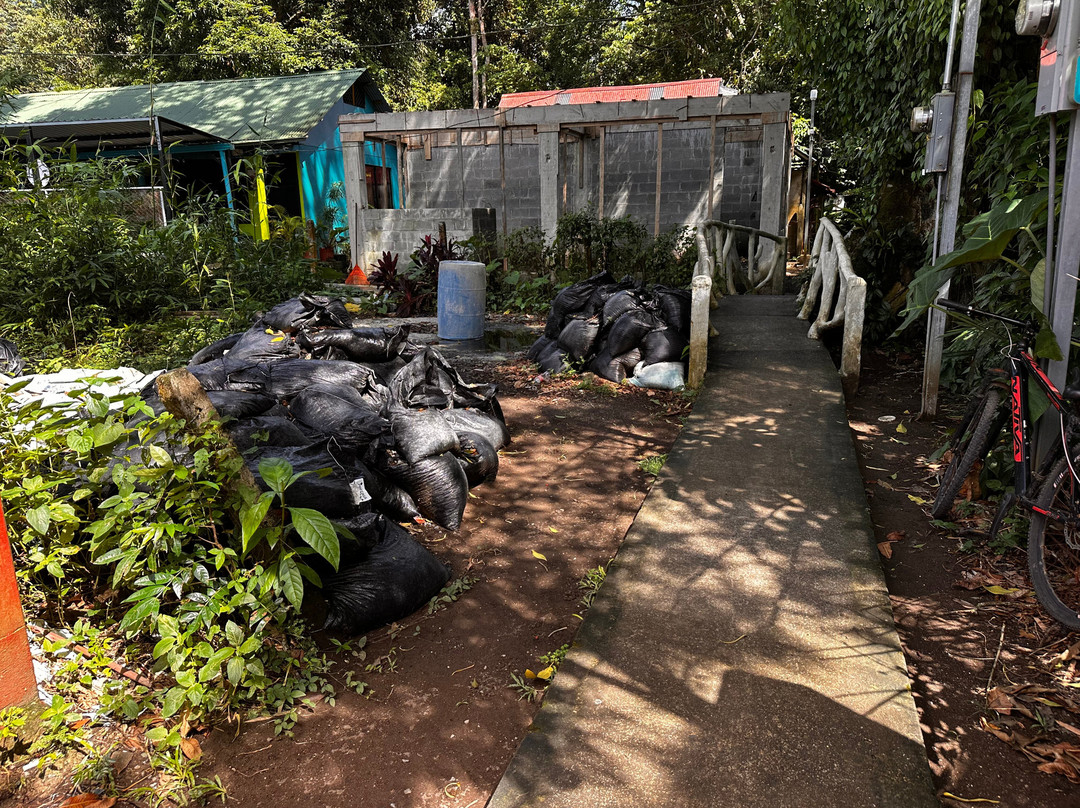 San Rafael酒店住宿-Los Amigos Jungle Hotel Tortuguero