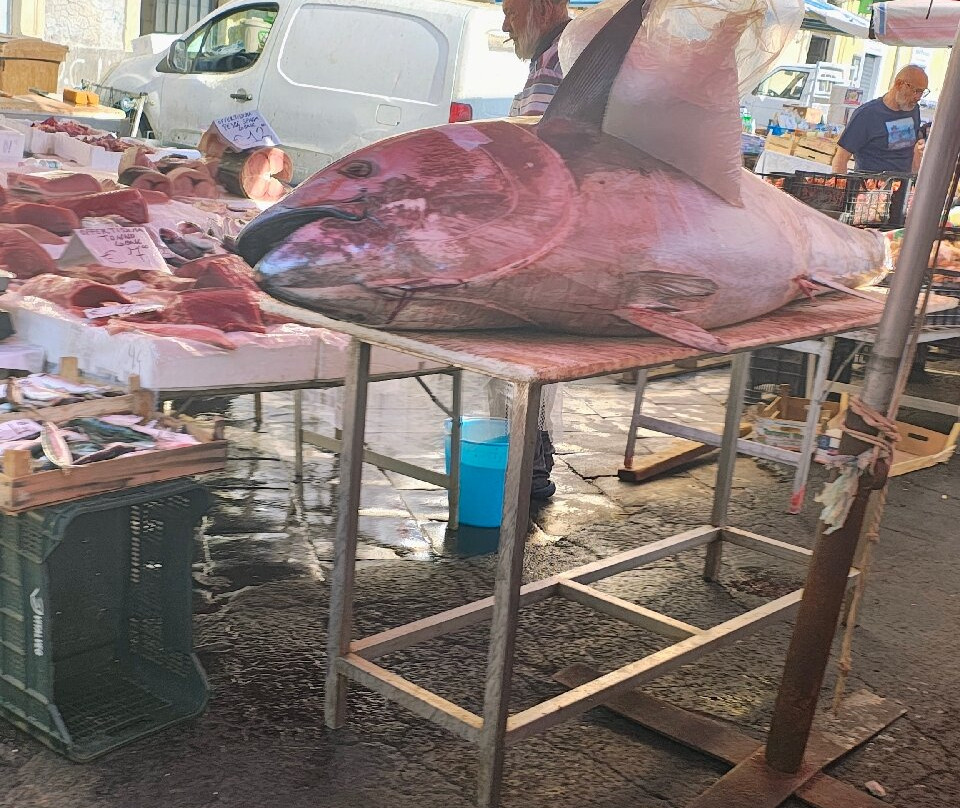 Market Fera O’Luni-卡塔尼亚必去景点