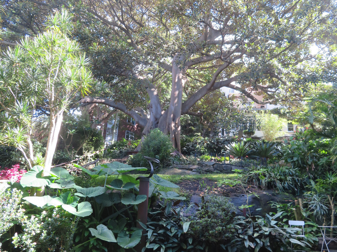 Wendy Whiteley's Secret Garden-北悉尼必去景点