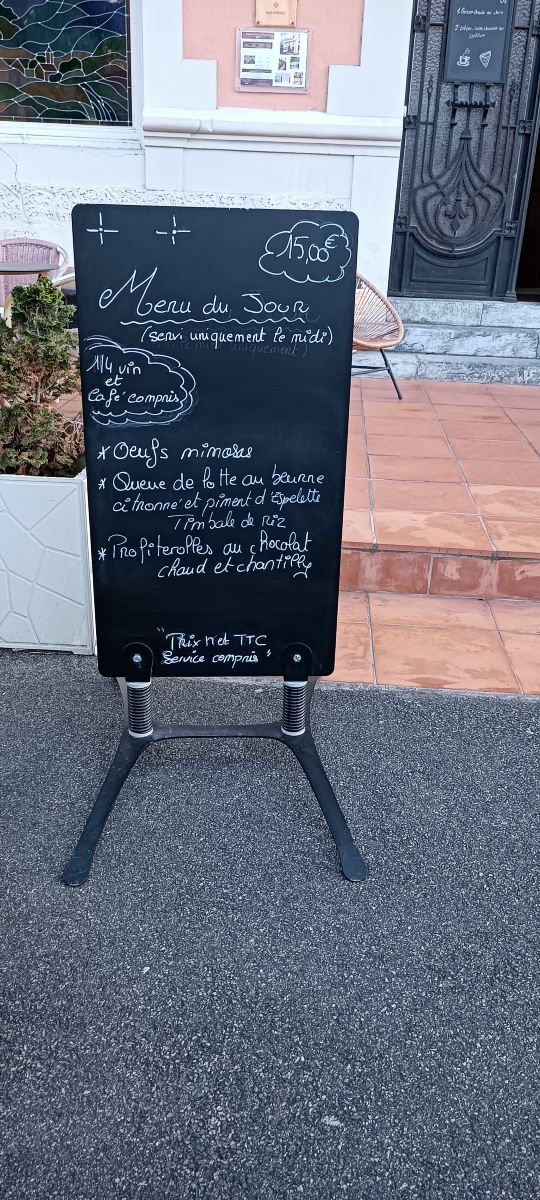 法国大酒店-旅行者