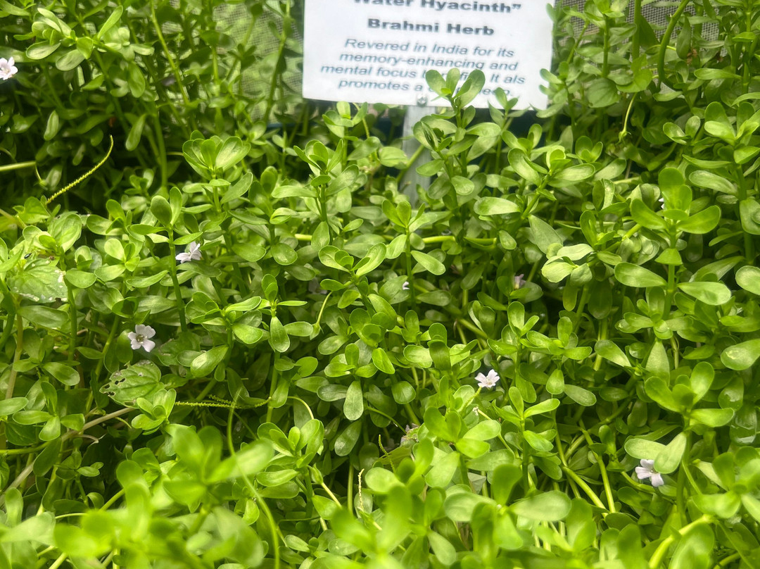 Amatierra Retreat and Wellness Center主图