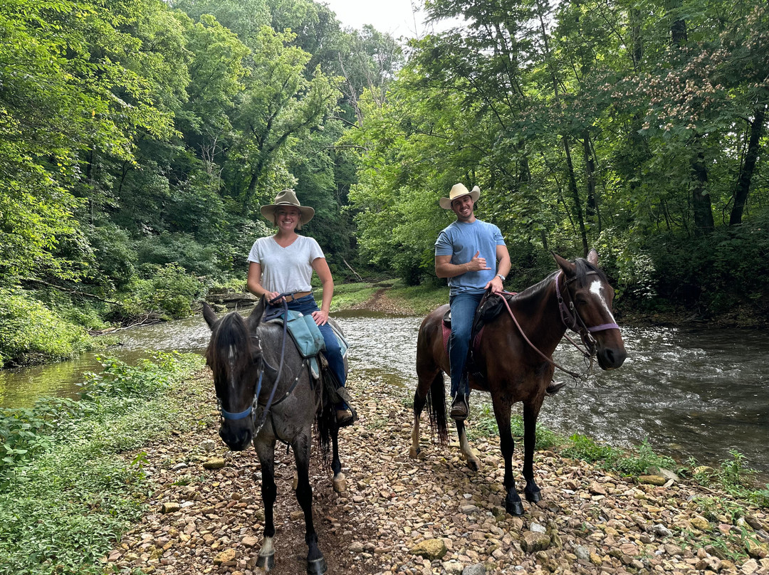 Natchez Trace Stables-Primm Springs必去景点