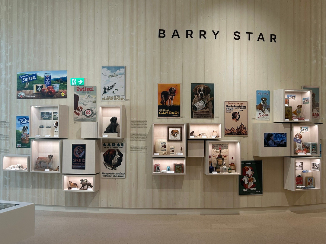 Barryland - Musée et chiens du St-Bernard-马蒂尼必去景点