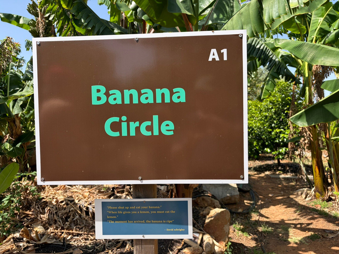 Orchard Of Flavours Botanical Garden-Luz de Tavira必去景点