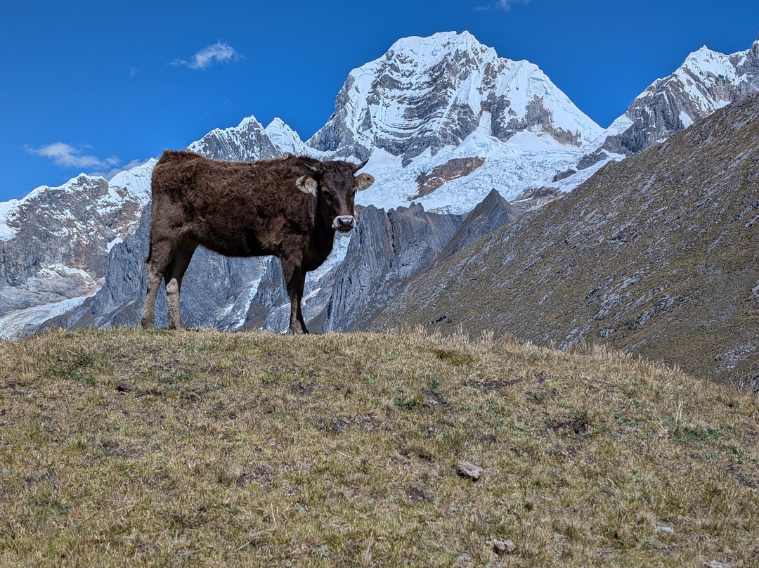 Cordillera Huayhuash-Ancash Region必去景点