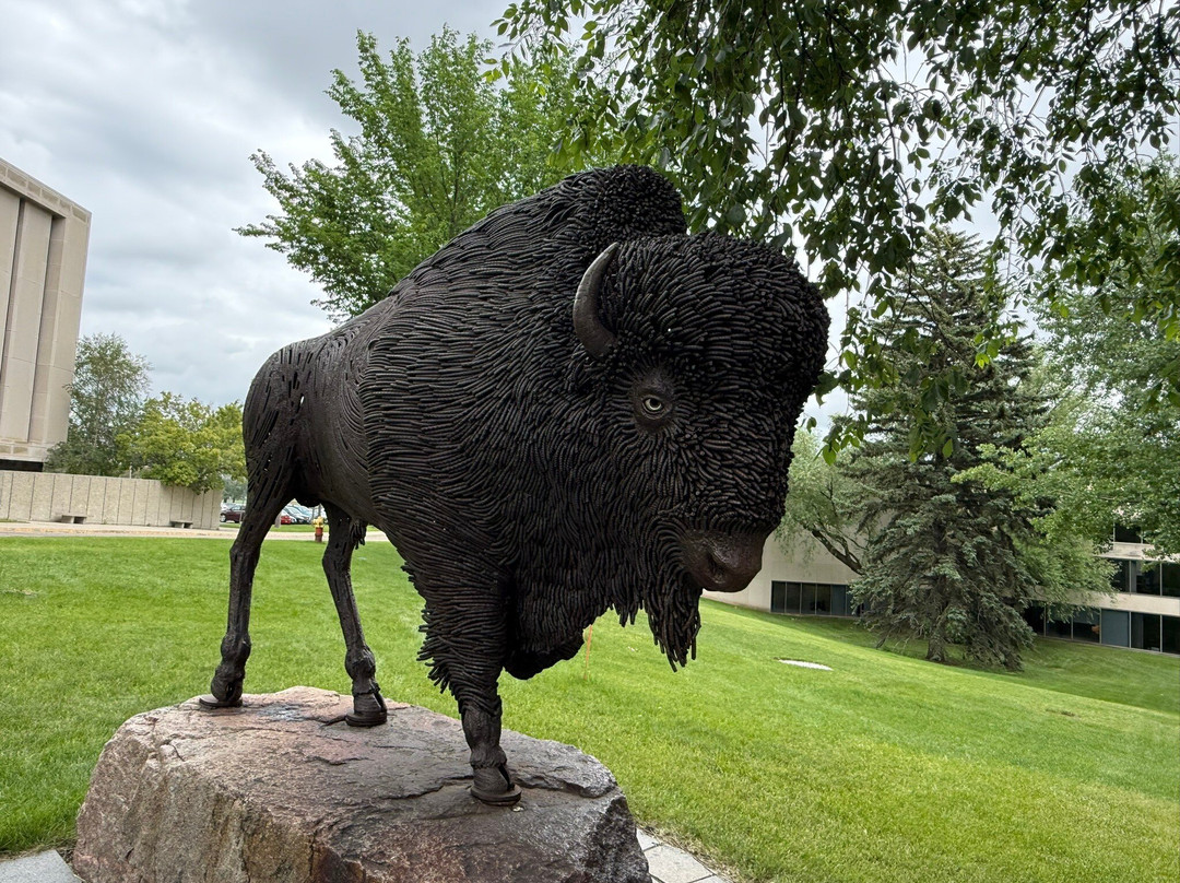 Buffalo Statue-俾斯麦必去景点