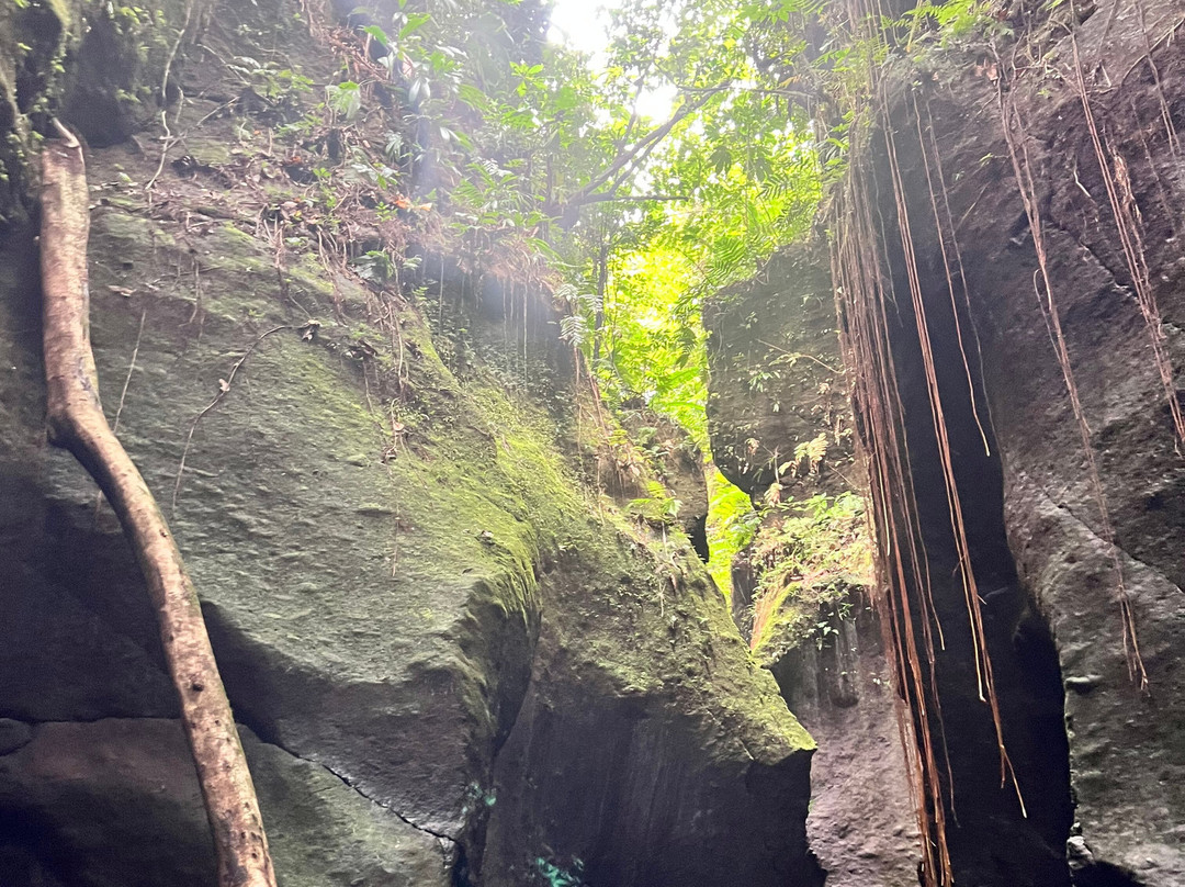 Waitukubuli Adventure Tour Co.-罗索必去景点