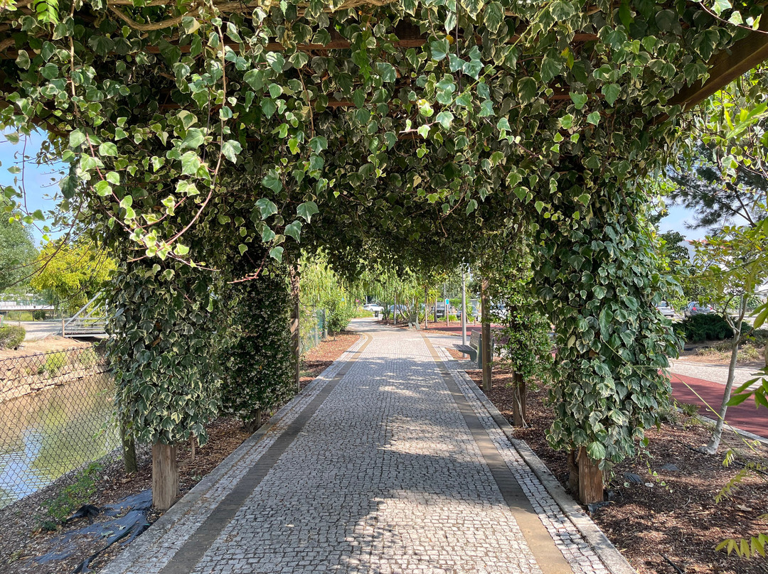 Portugal Bike Tours-奥迪韦拉什必去景点
