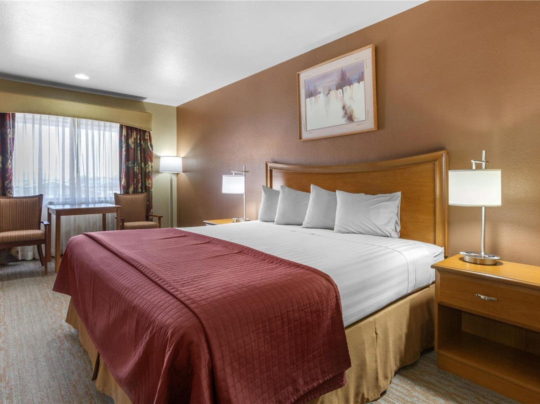 Apache County酒店住宿-Best Western Canyon De Chelly Inn