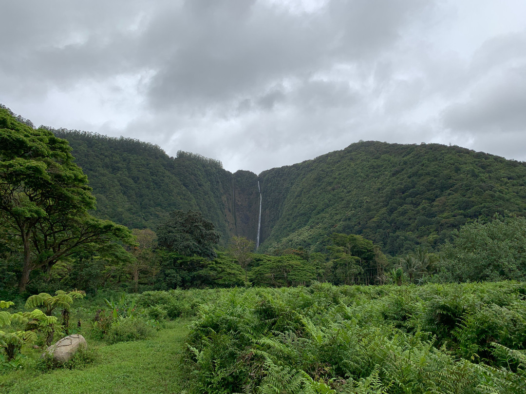 Waipio Valley Shuttle-库库伊哈尔必去景点