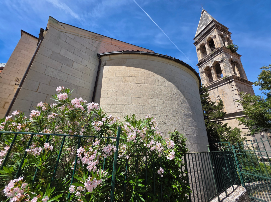 Shells Museum Malakoloski Muzej-玛卡沙必去景点