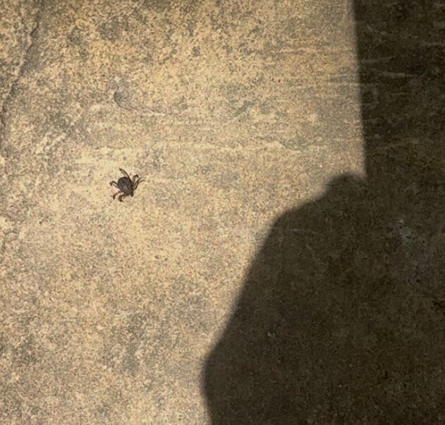 Terra Natura Murcia-穆尔西亚必去景点