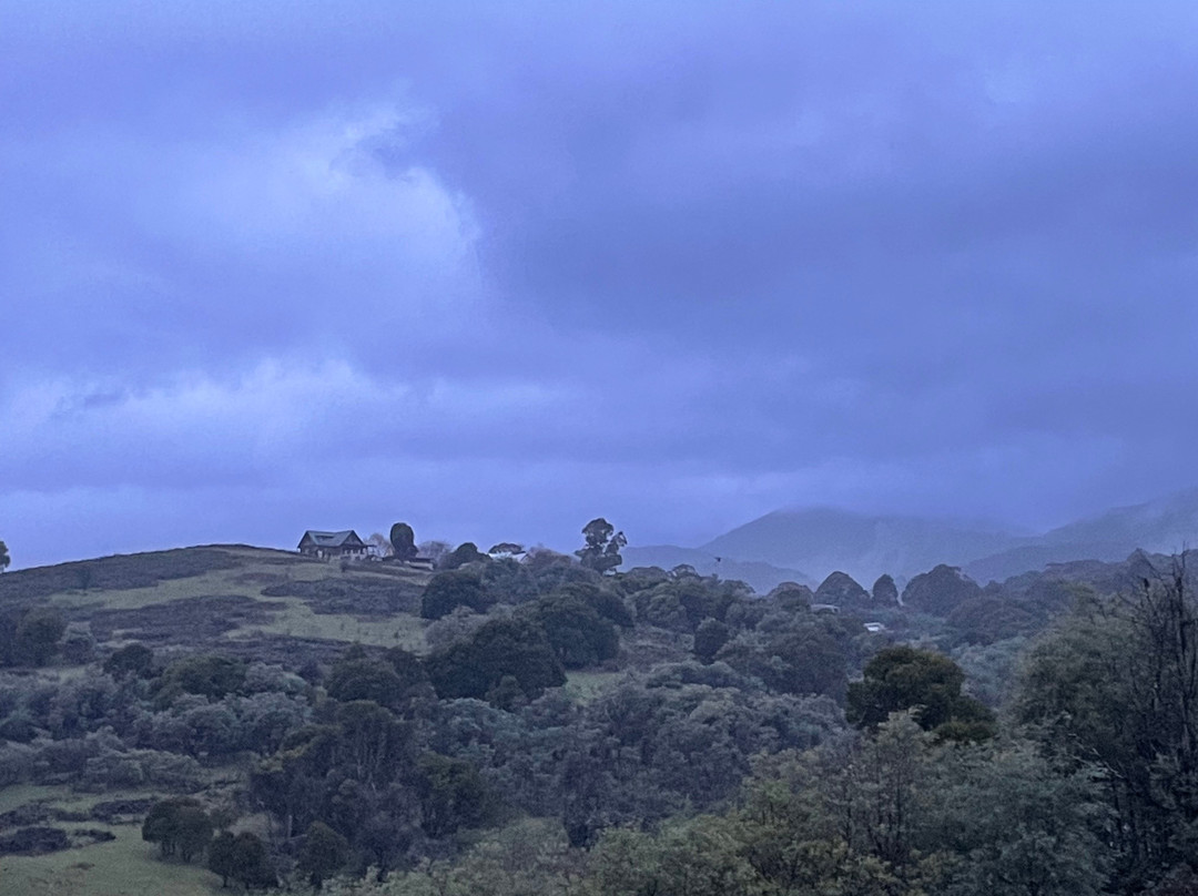Watson's Mountain Country Trail Rides - Day Tours-曼斯菲尔德必去景点