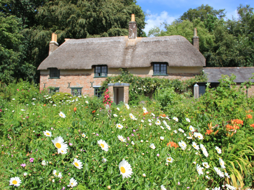 Hardy's Cottage-多切斯特必去景点