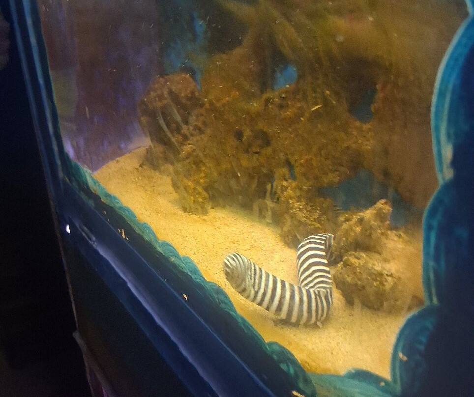 Aquarium Of Faliraki (Aquaworld)-Faliraki必去景点